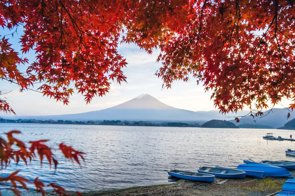 autumn in japan 2023