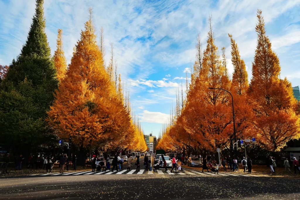 autumn in japan 2023