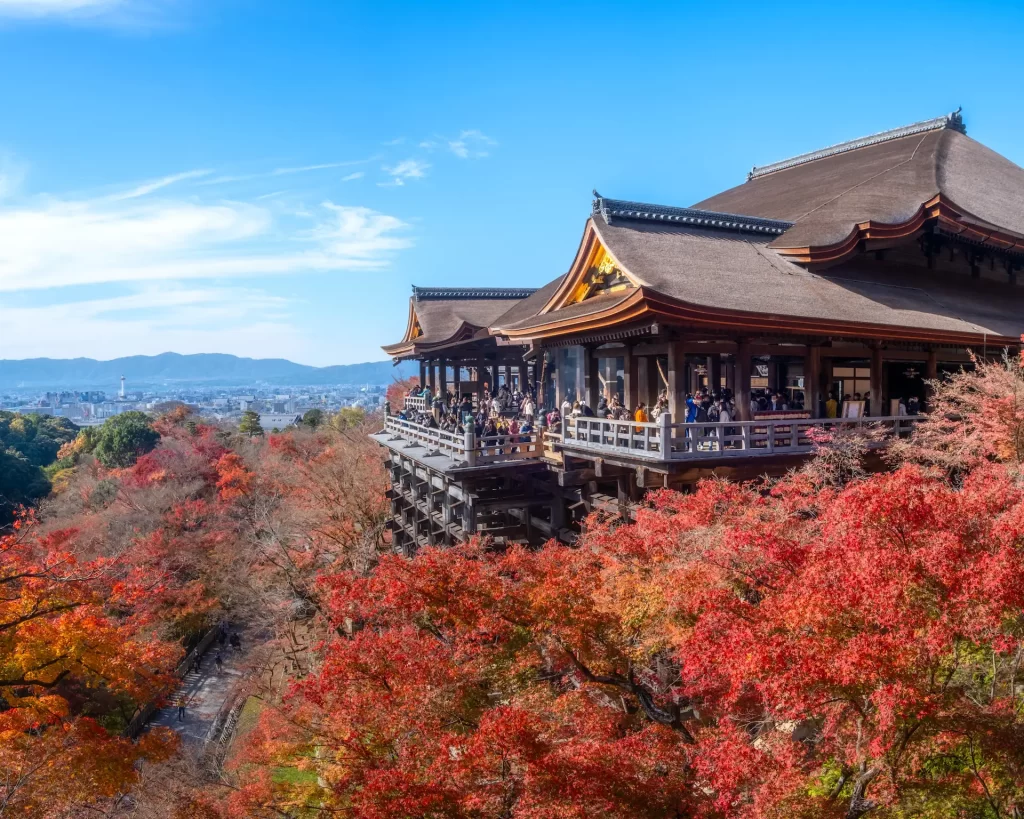 autumn in japan 2023