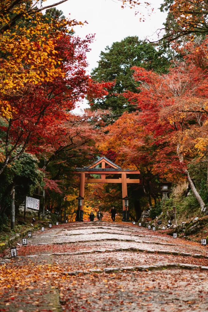 autumn in japan 2023
