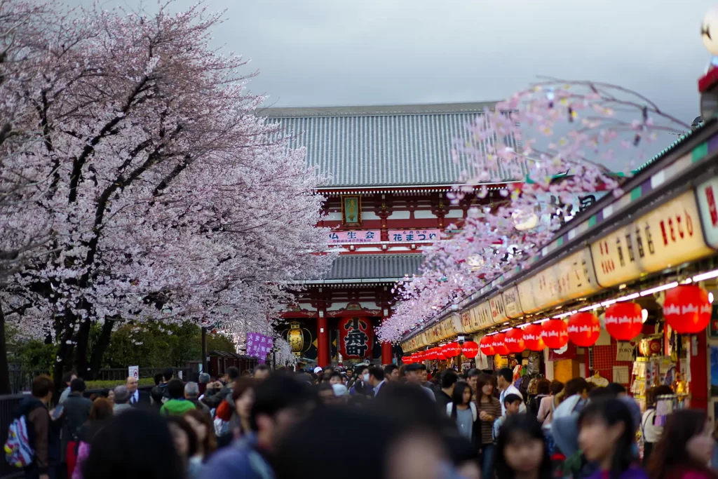 asakusa shrine area