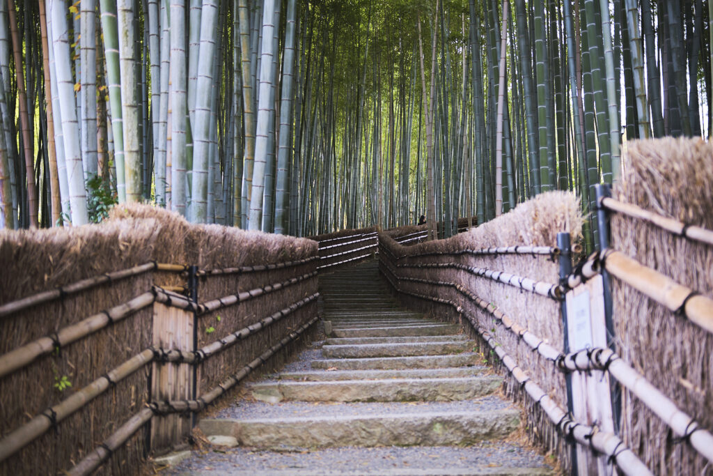 arashiyama bamboo forest secret spot