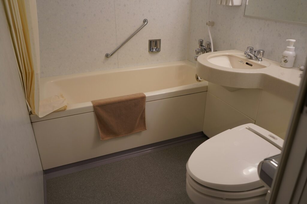 japan smart toilet