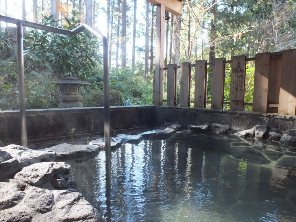 best ryokan in hakone hananoyado