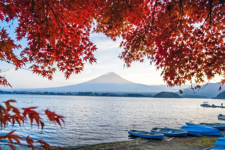 Mount Fuji Live Webcam: Is Mt Fuji Visible Right Now?