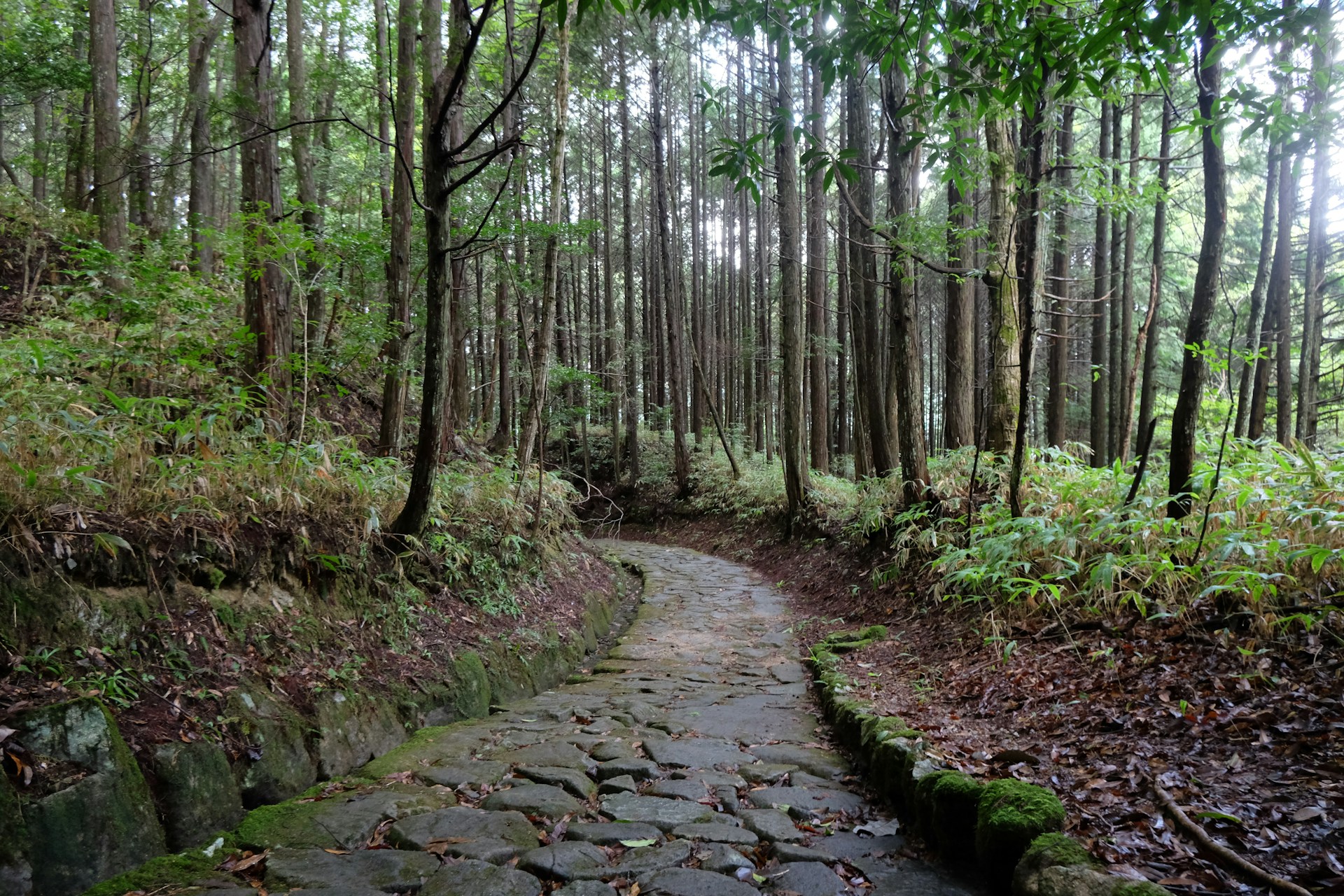nakasendo path