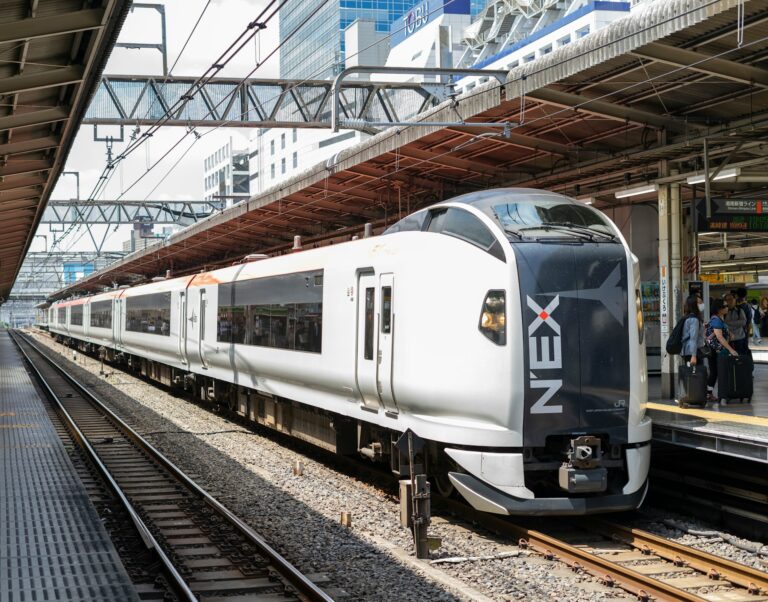 narita to tokyo nex train